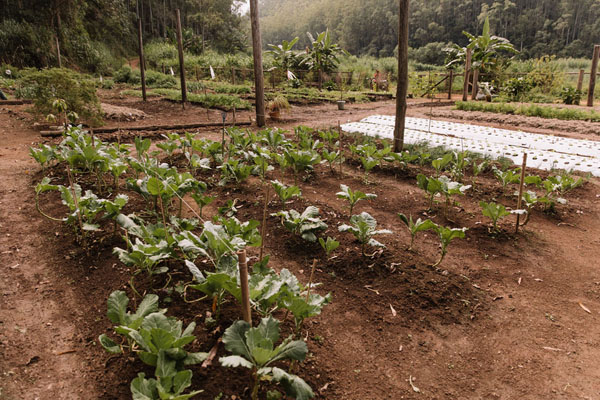 Produção Orgânica