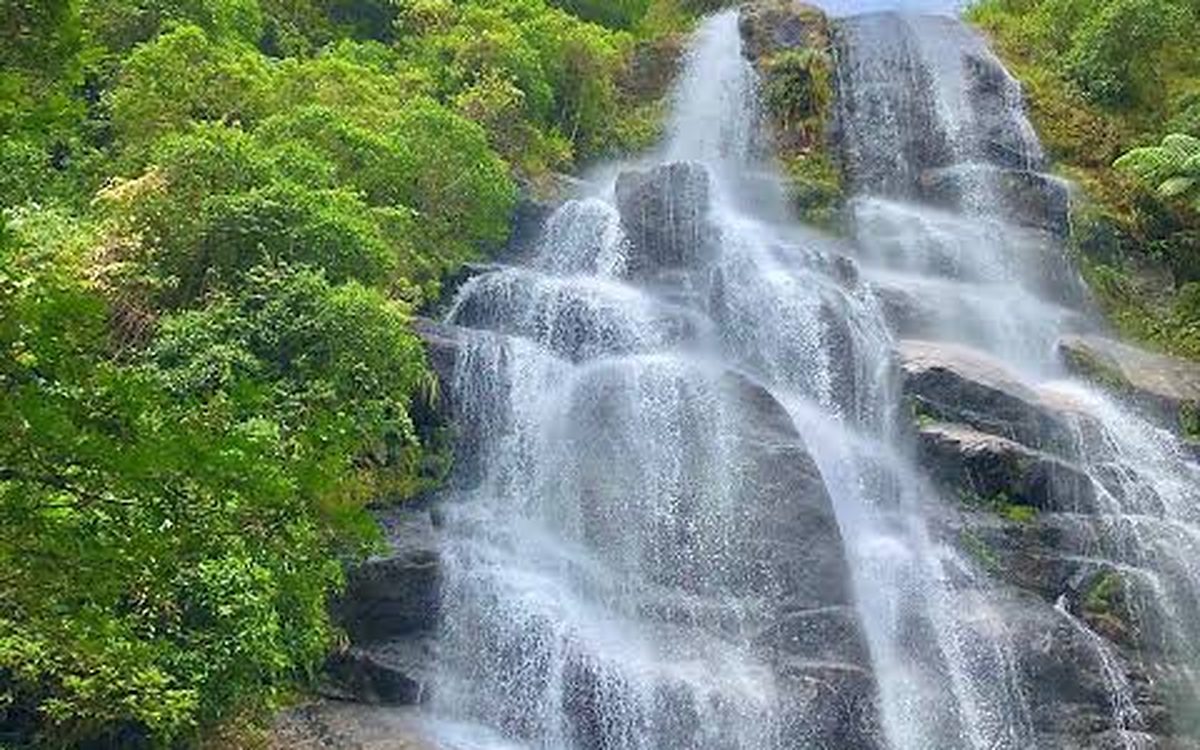 Parque Nacional de Itatiaia — Parte Baixa