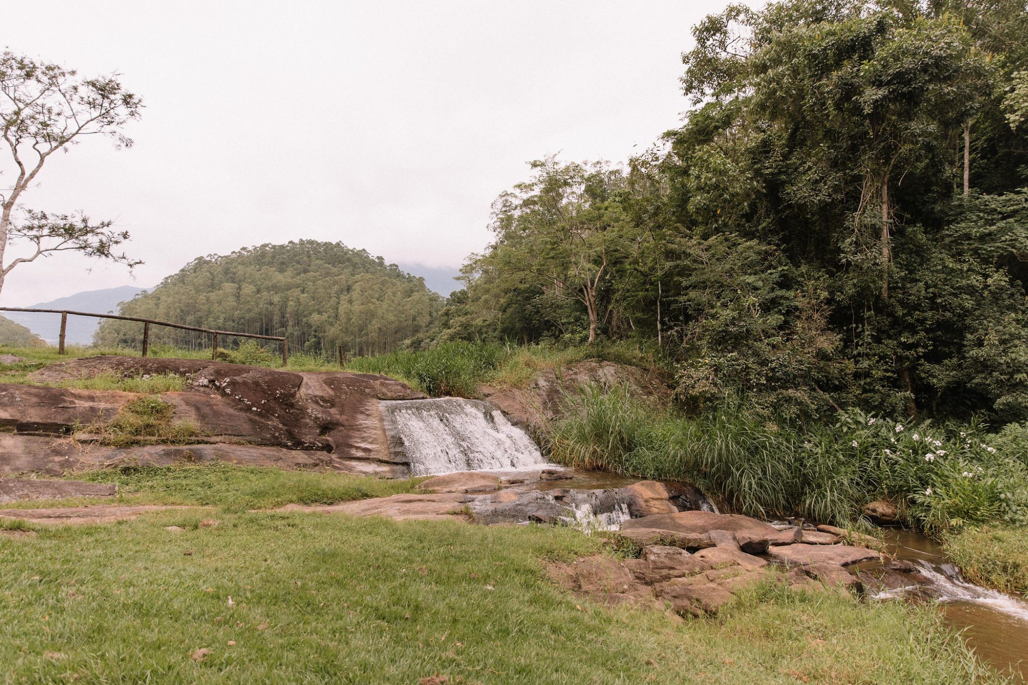 Natureza & Fazenda — foto 2