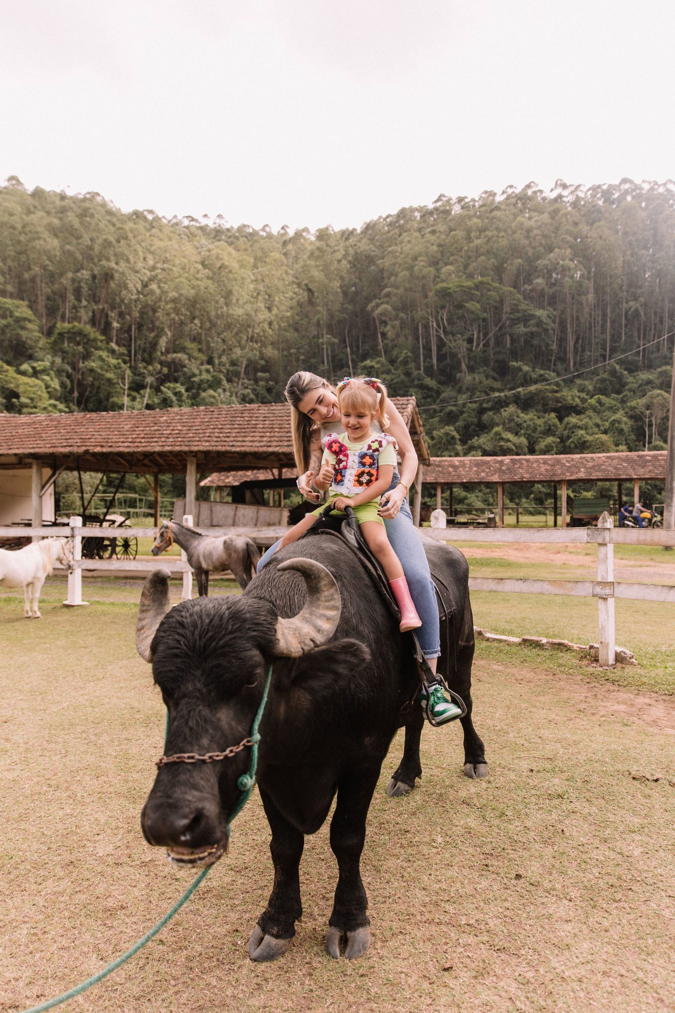 Natureza & Fazenda — foto 10