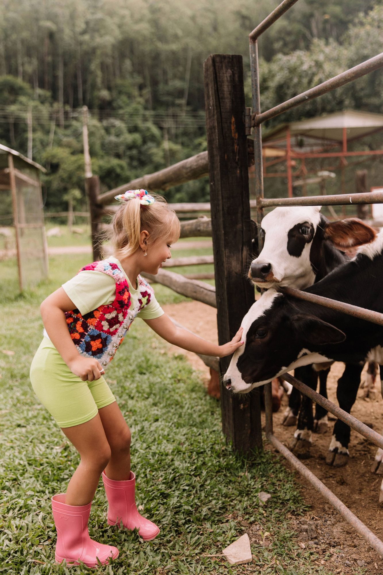Natureza & Fazenda — foto 8
