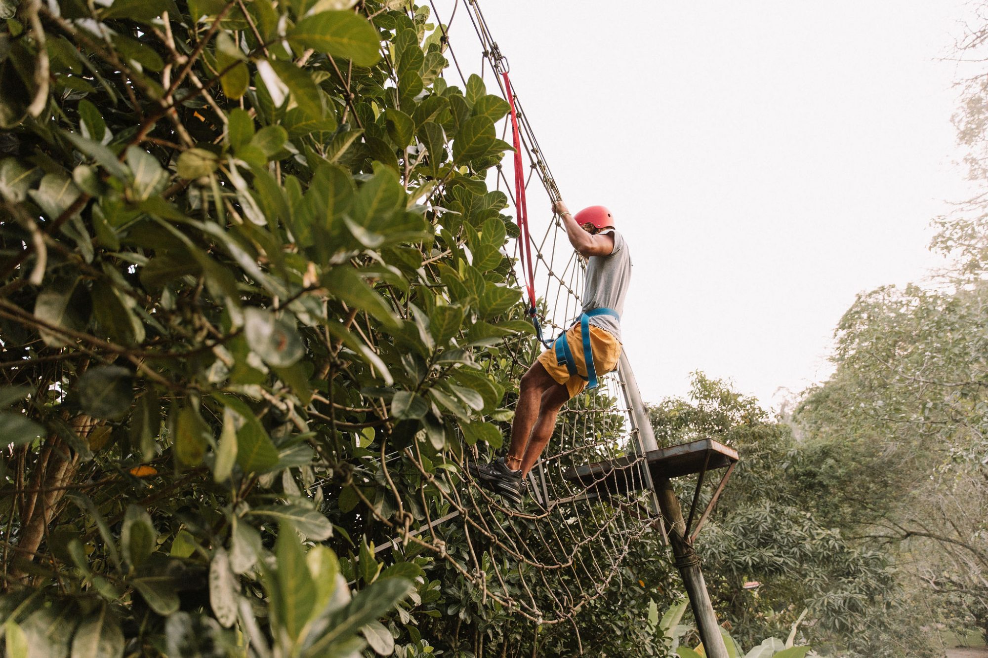 Natureza & Fazenda — foto 6