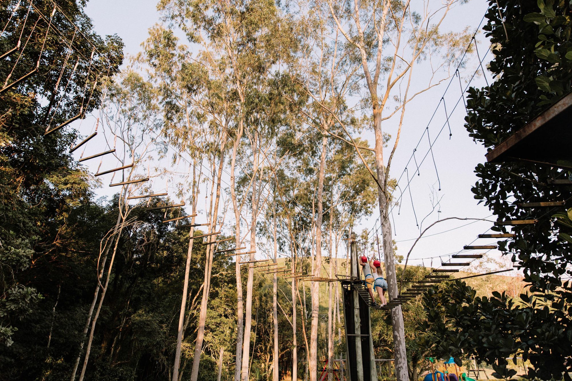 Natureza & Fazenda — foto 5