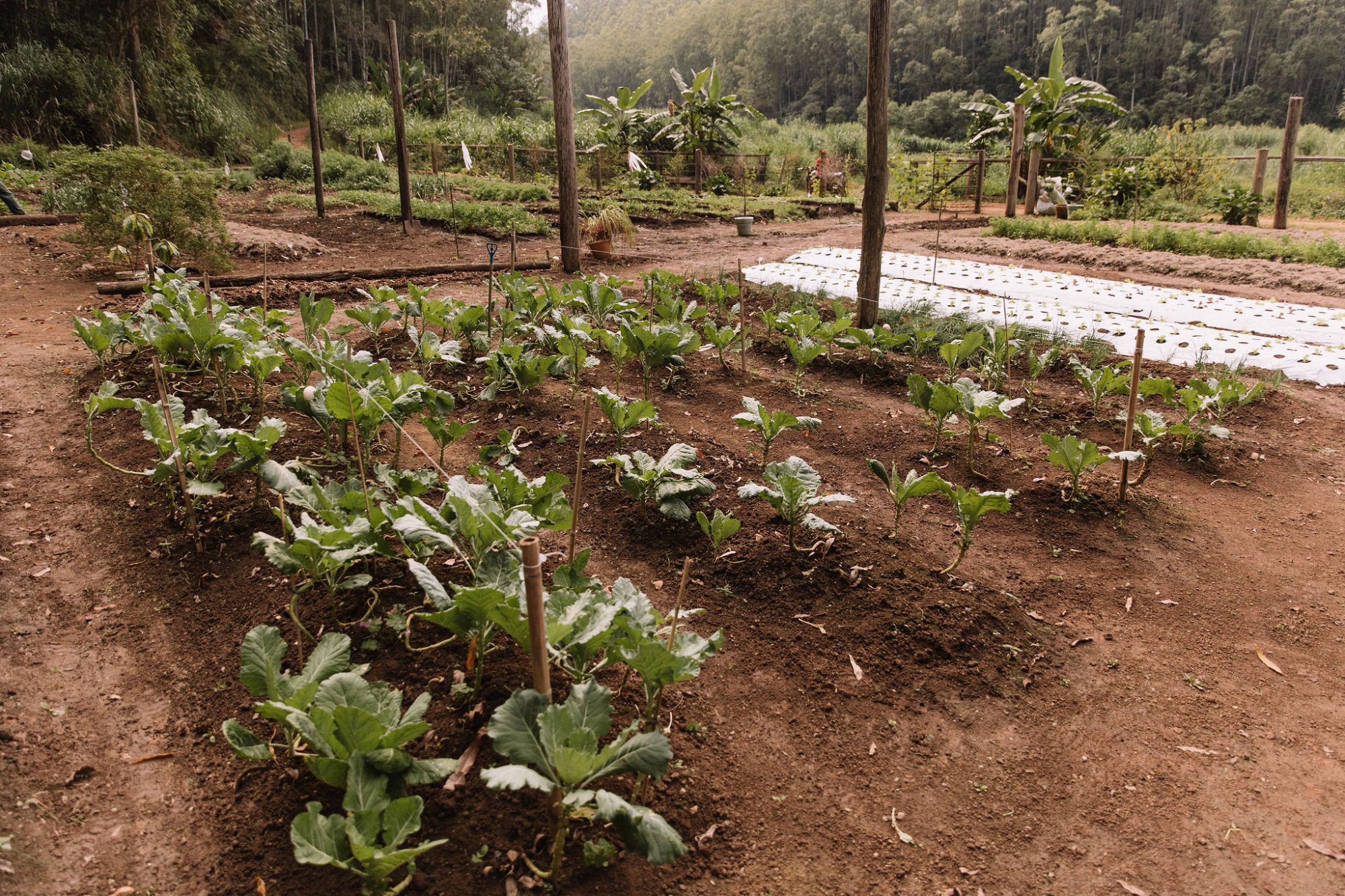 Natureza & Fazenda — foto 3