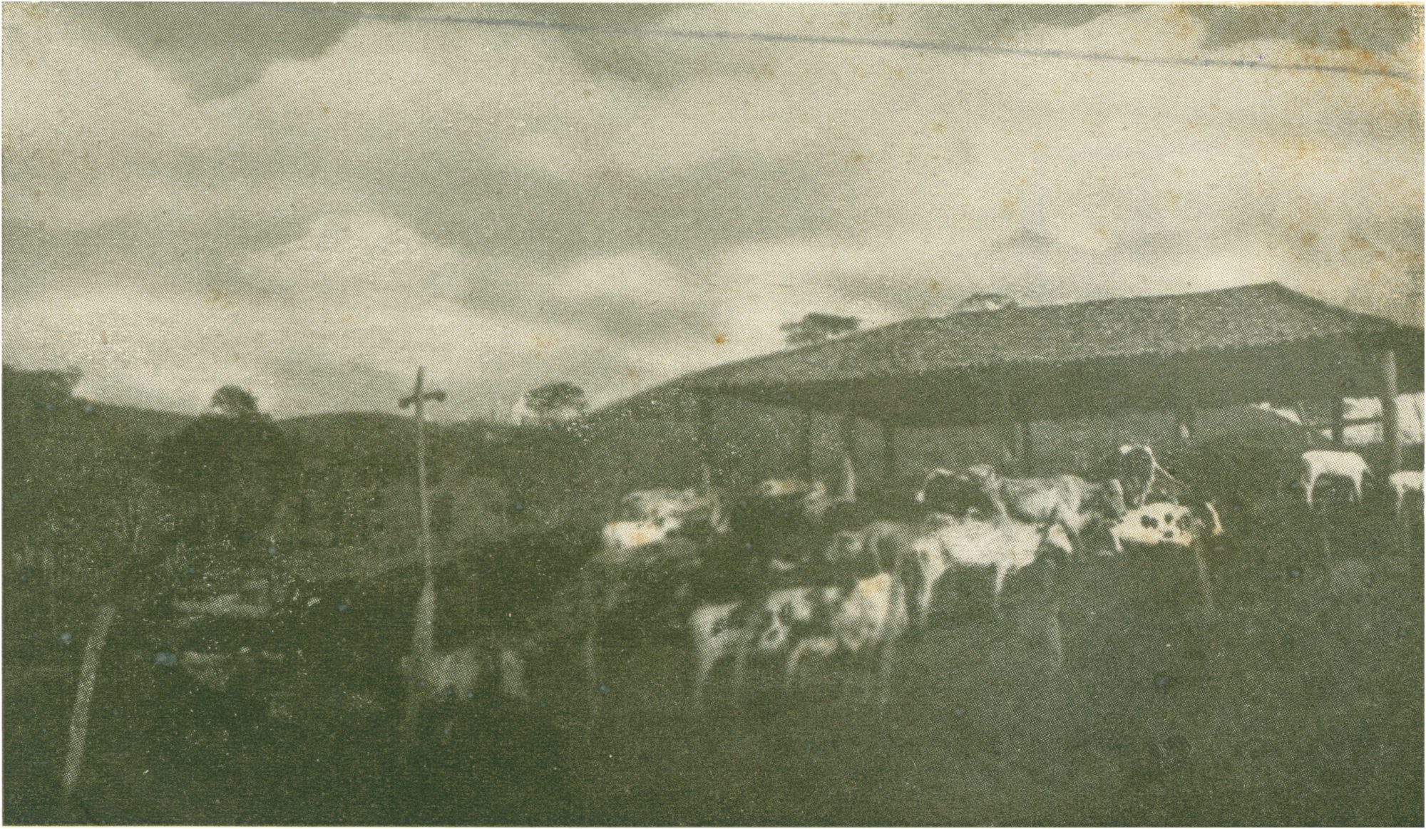 História