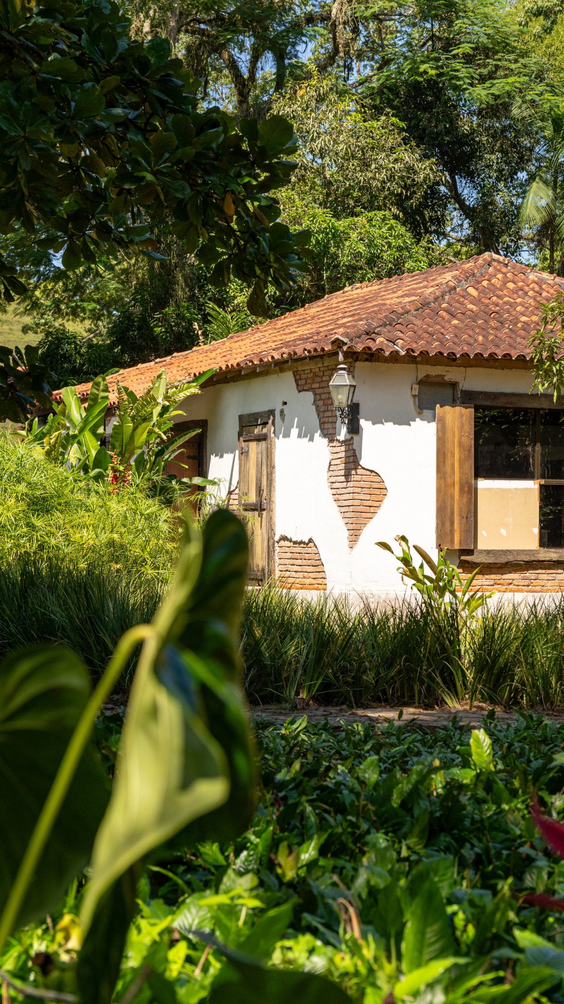 Mesa de fazenda